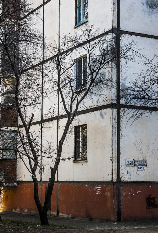 Дерево & девятина - Коля Лукашов