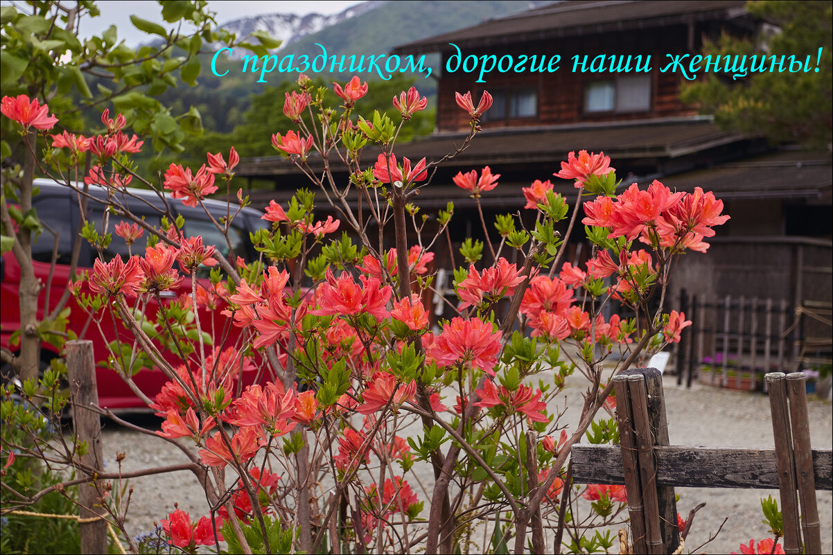 С Праздником Весны! - Валерий Готлиб С Праздником Весны! - Валерий Готлиб