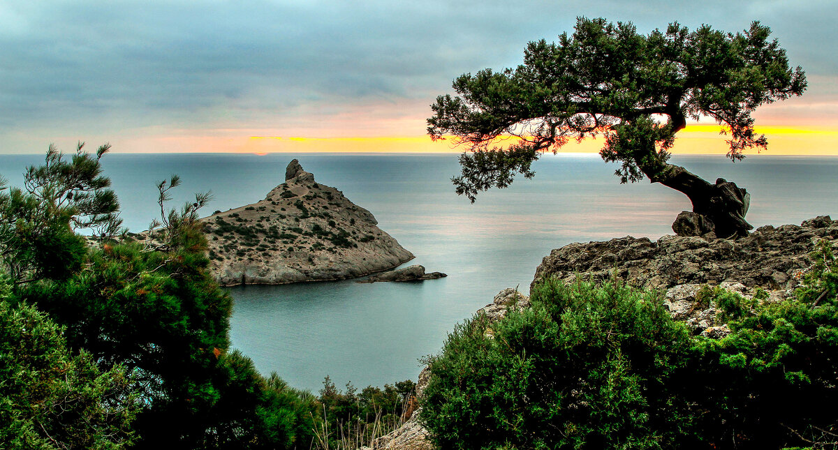 Новый Свет. - Сергей Воротников Новый Свет. - Сергей Воротников