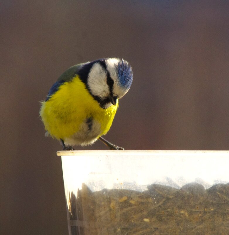 Ну, это я !.. Всё.. - Юрий Куликов