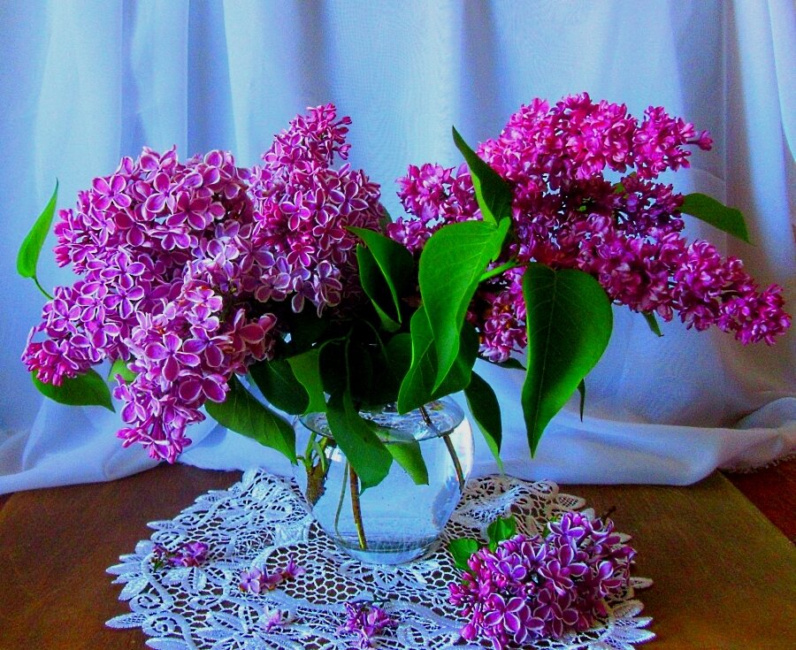 МИЛЫЕ ЖЕНЩИНЫ, С НАСТУПАЮЩИМ ПРАЗДНИКОМ! - Галина Кузьмина МИЛЫЕ ЖЕНЩИНЫ, С НАСТУПАЮЩИМ ПРАЗДНИКОМ! - Галина Кузьмина