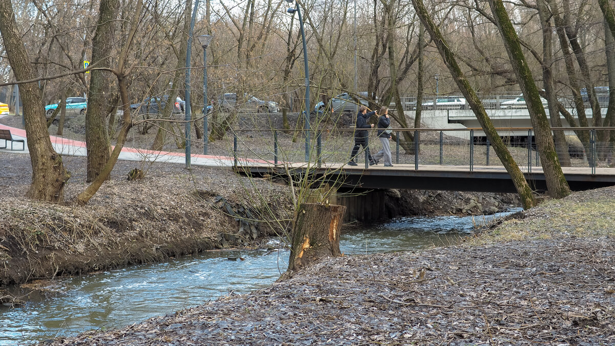 ***** - юрий поляков ***** - юрий поляков