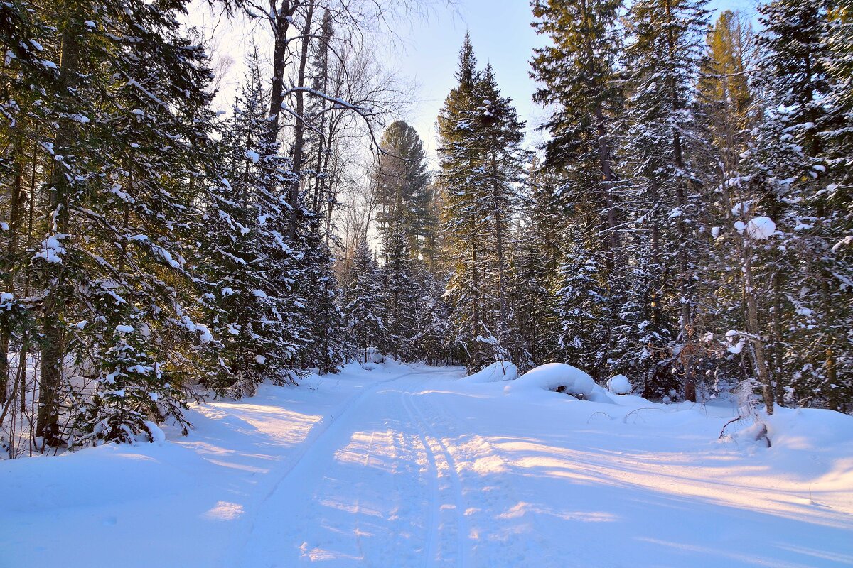 - - Владимир Мигонькин