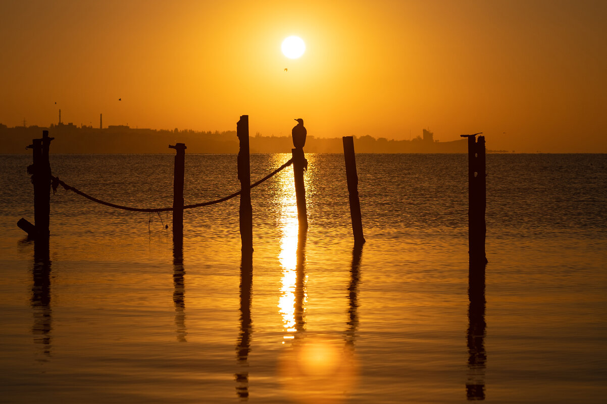 Рассвет, что осеннего цвета. - Анатолий Щербак Рассвет, что осеннего цвета. - Анатолий Щербак