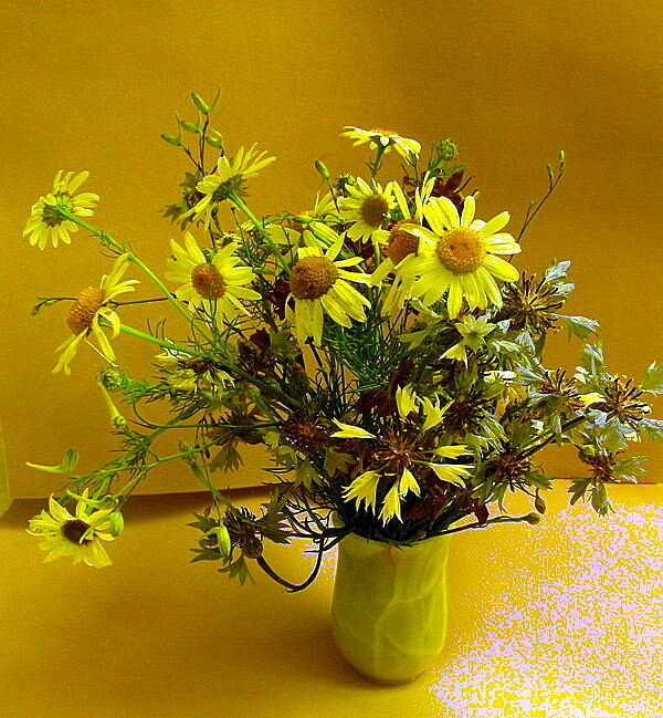 ПОЛЕВЫЕ - ivana 