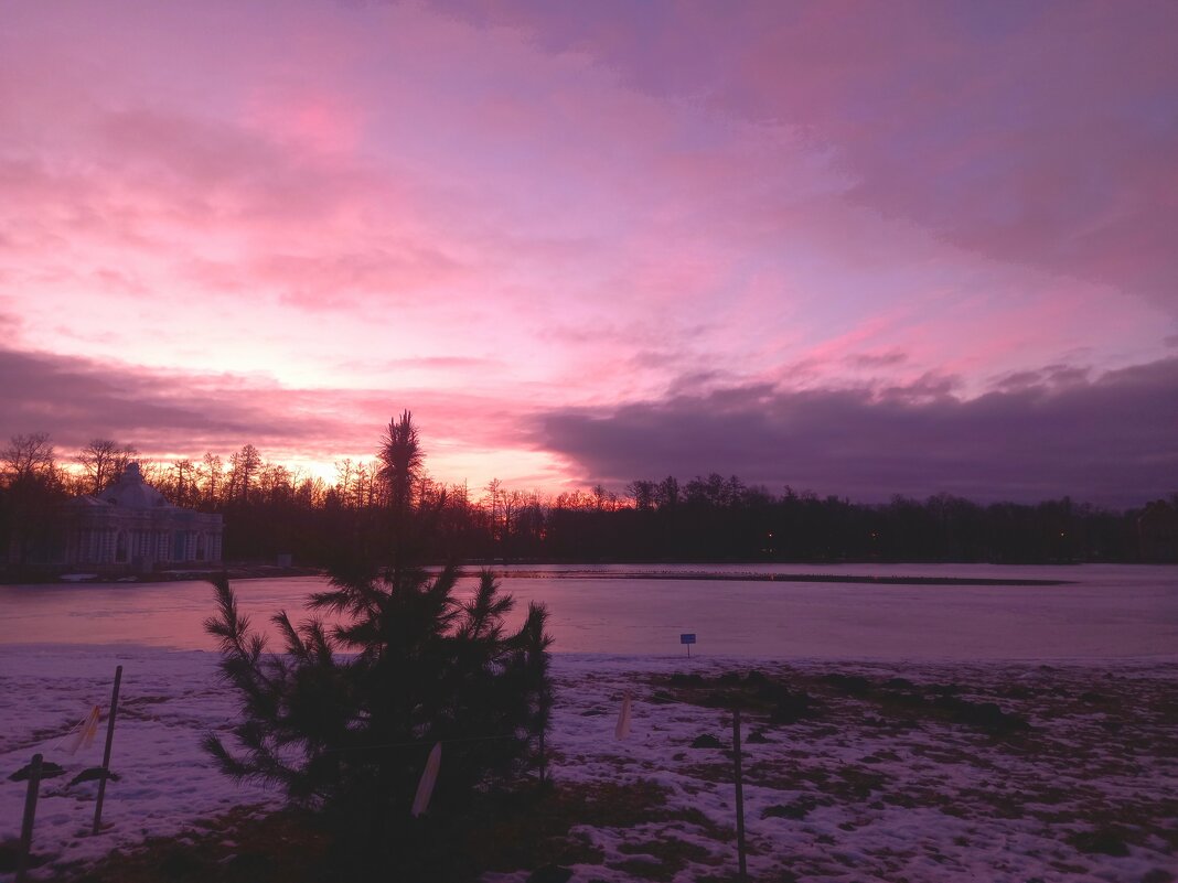 Рассвет - Сапсан 