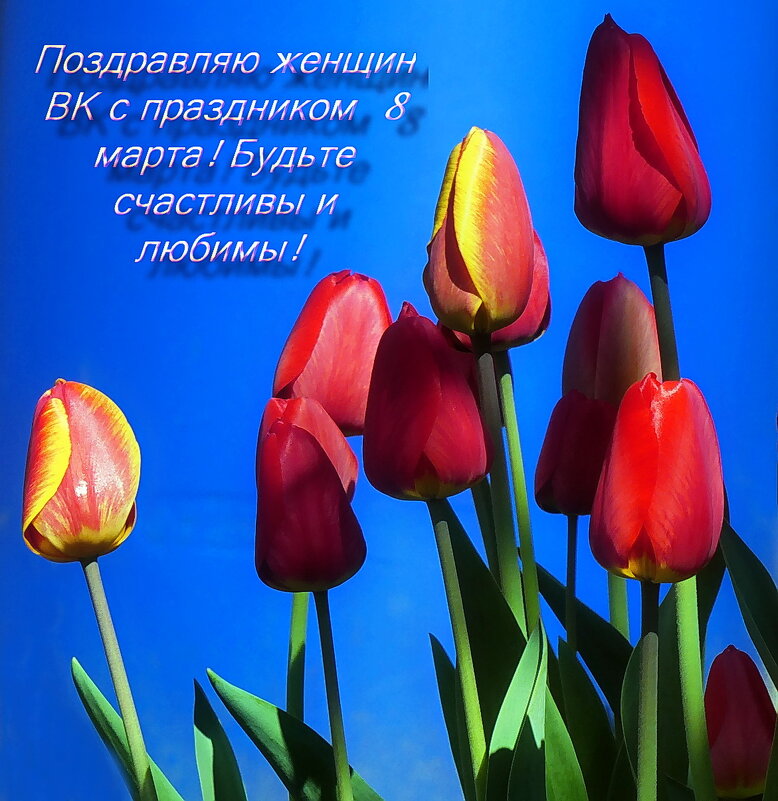 Весенний праздник -8 Марта! - Владимир Шошин Весенний праздник -8 Марта! - Владимир Шошин