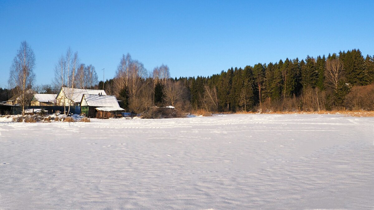 Зимний деревенский пейзаж. - Милешкин Владимир Алексеевич 
