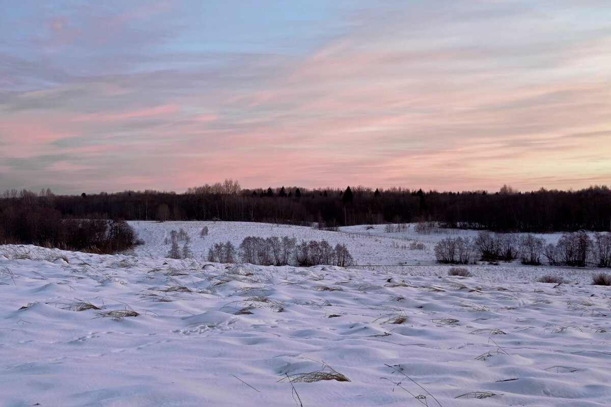 Лес за рекой Полонка - Артем 