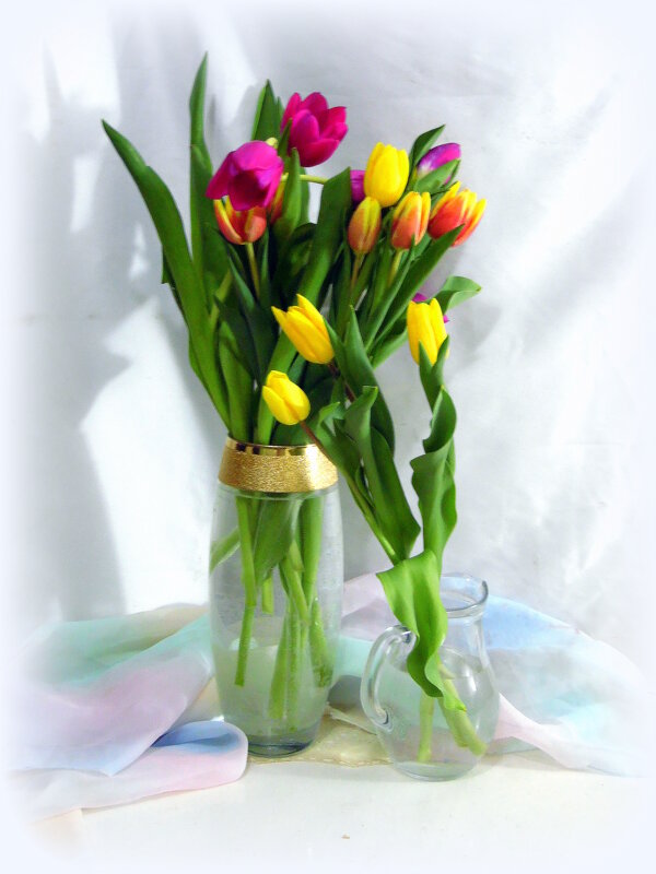 Тюльпаны для вас. - nadyasilyuk Вознюк Тюльпаны для вас. - nadyasilyuk Вознюк