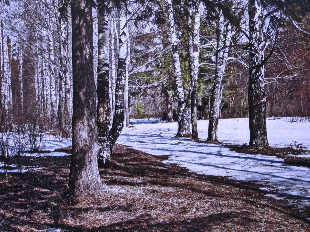 Весенние берёзки - Людмила Смородинская Весенние берёзки - Людмила Смородинская