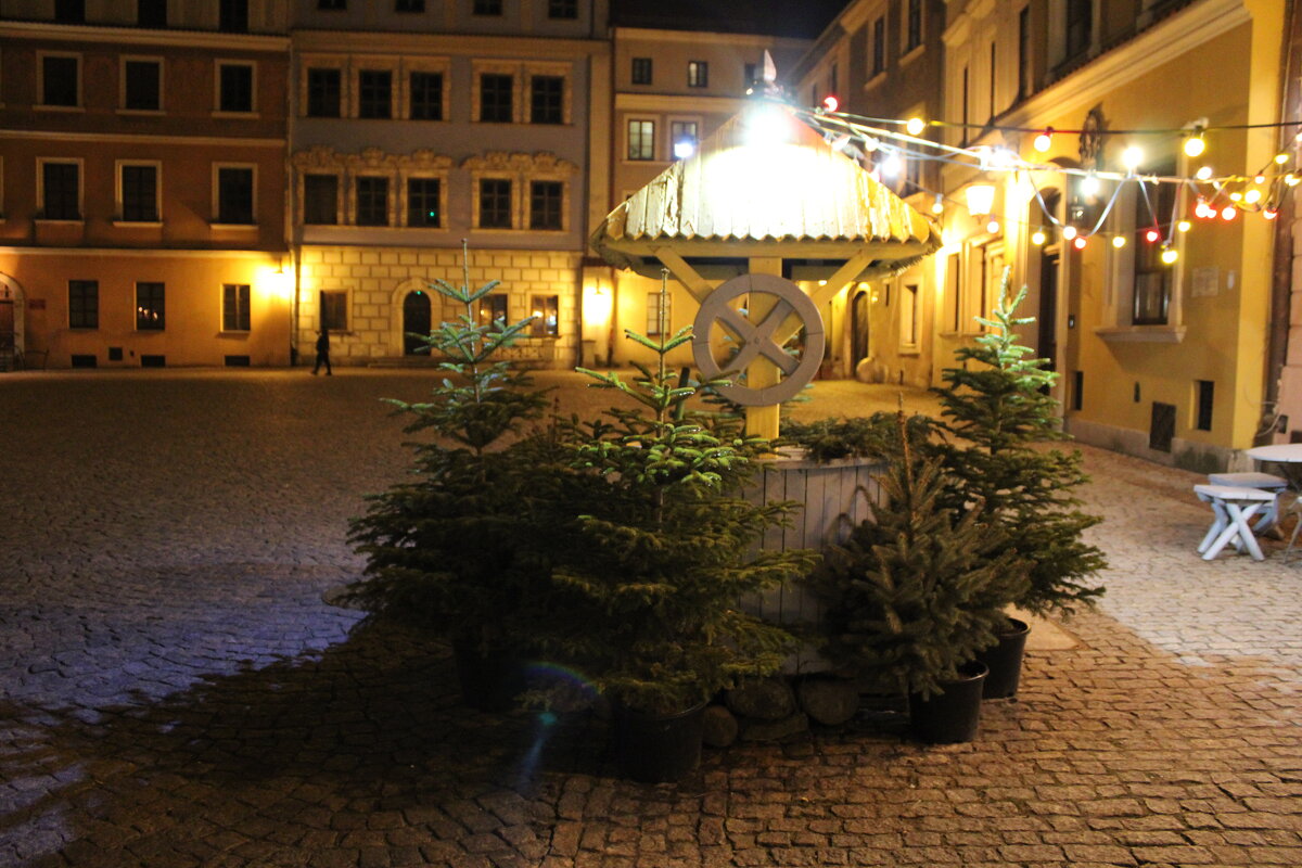 Ночной Люблин - Александр Винников