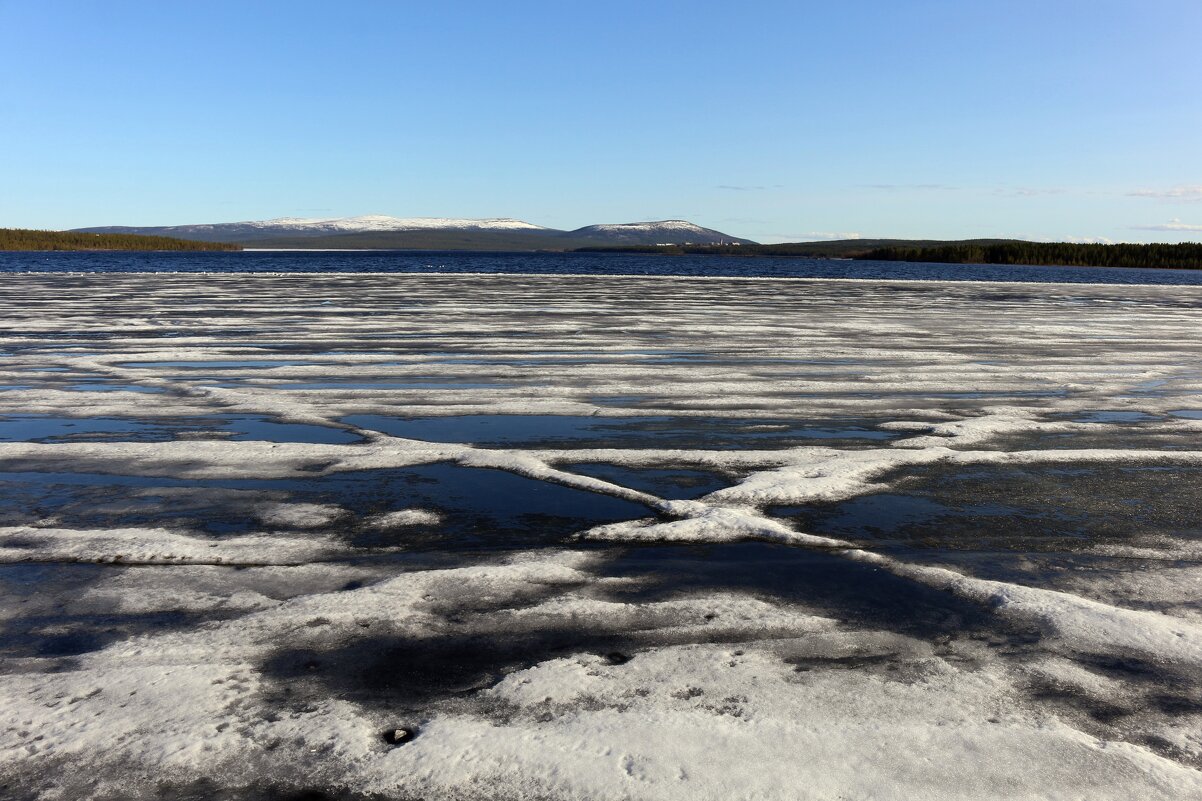 Весенняя геометрия - Ольга Весенняя геометрия - Ольга