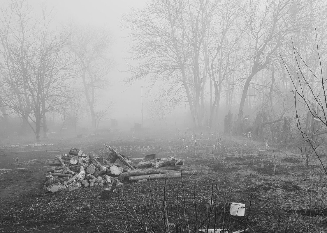 * - Валерий Ткаченко * - Валерий Ткаченко