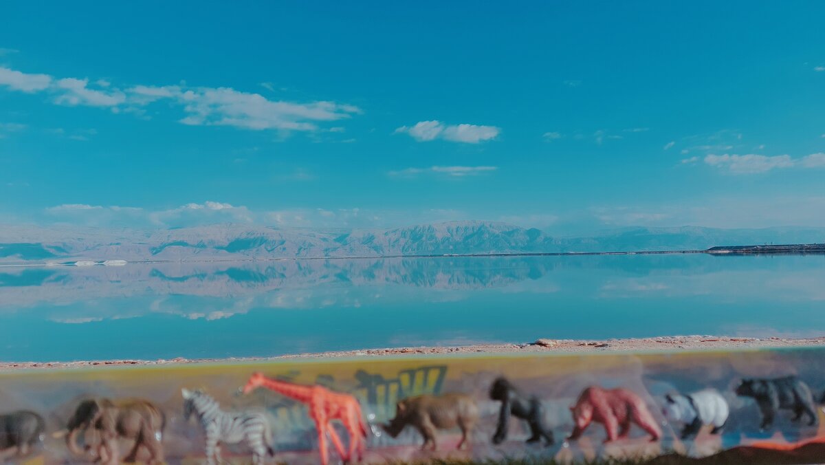 12  КЛОС (681) - CLOSE WAYS ALL