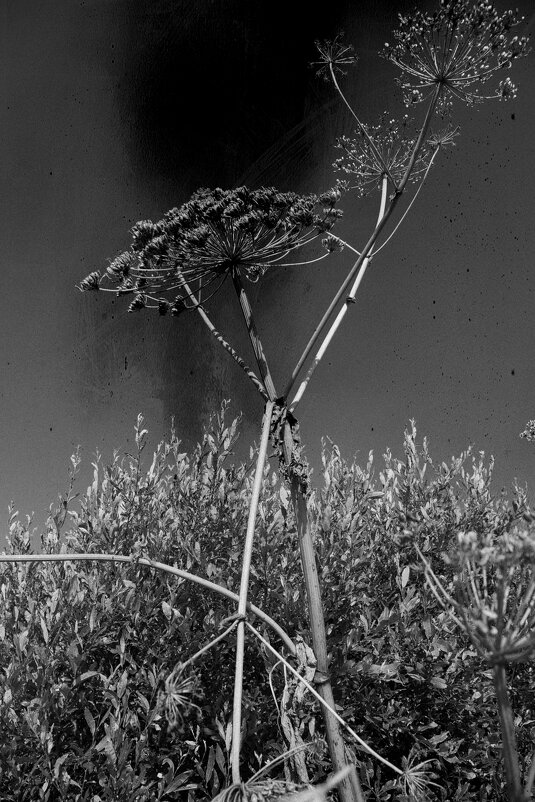 Название отсутствует - Денис Безногов