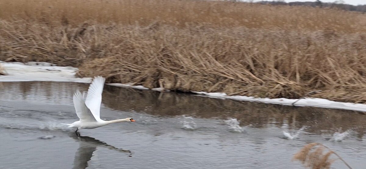 . - Сергей Асташонок