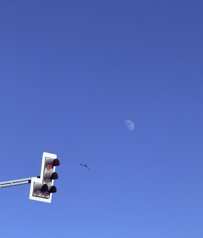 Дневная луна - Iren Brilliance Дневная луна - Iren Brilliance