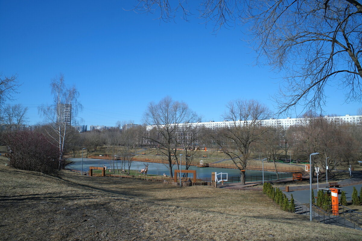 Весна! 8 марта. Покровский парк. - Лютый Дровосек Весна! 8 марта. Покровский парк. - Лютый Дровосек