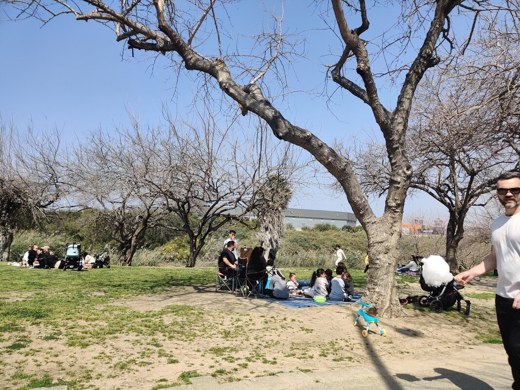 На реки Лахиш! - Светлана Хращевская На реки Лахиш! - Светлана Хращевская