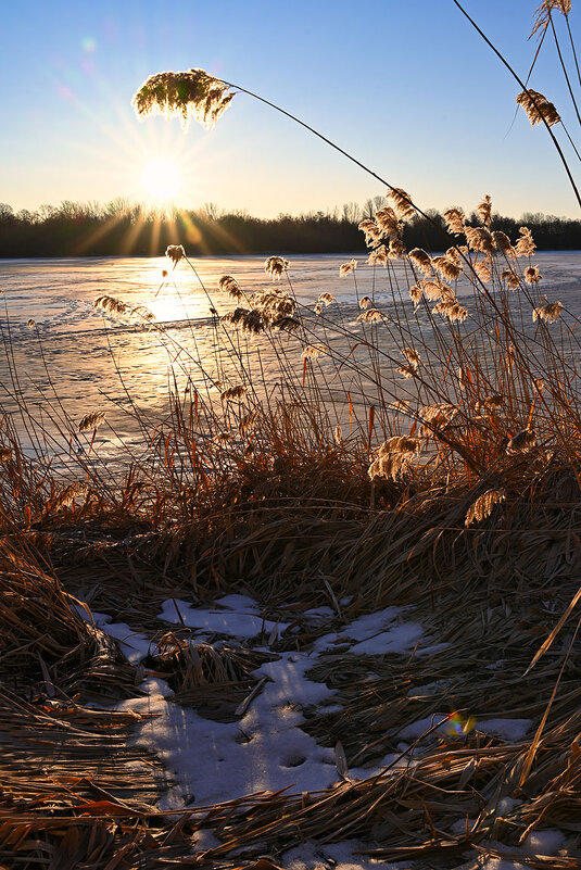 Мартовское солнце - Сергей Мартовское солнце - Сергей