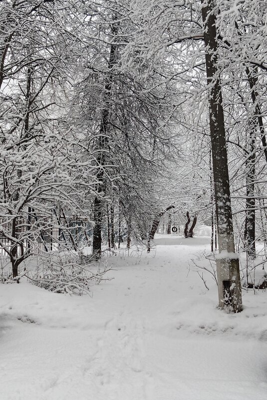 Снежная тропинка (вспоминая зиму) - photo Bo Снежная тропинка (вспоминая зиму) - photo Bo