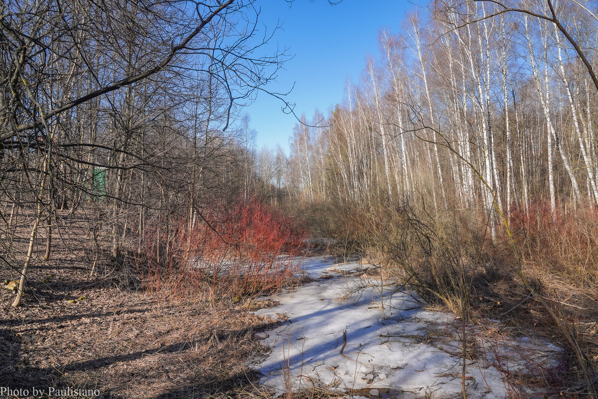 Бесснежный март... - Владимир Жданов Бесснежный март... - Владимир Жданов