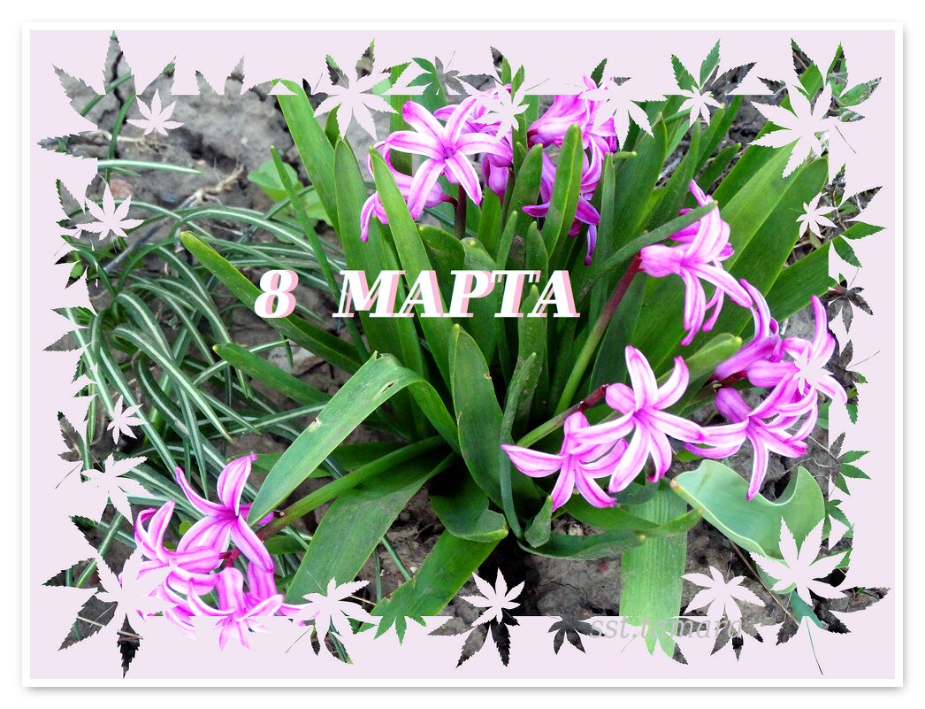 С праздником дорогие подруги!!! - Тамара (st.tamara) С праздником дорогие подруги!!! - Тамара (st.tamara)