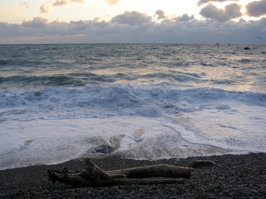 Утро Шторм - Анна Воробьева Утро Шторм - Анна Воробьева