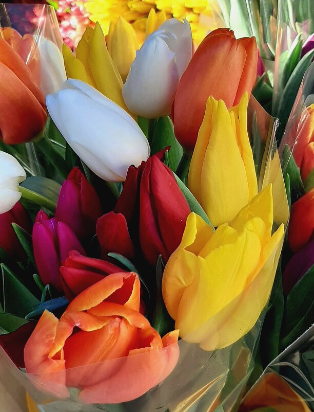 Весенне-праздничное - Наталья Герасимова Весенне-праздничное - Наталья Герасимова