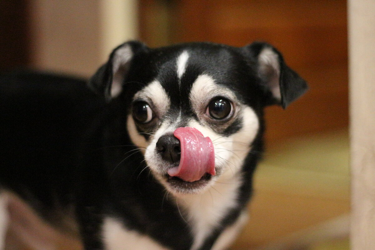 S - Андрей Л. В. S - Андрей Л. В.