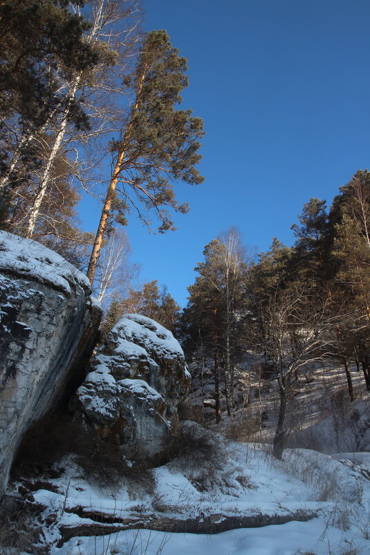 У берега реки Кия. Кемеровская обл. п. Макаракский - Евгения Каравашкина У берега реки Кия. Кемеровская обл. п. Макаракский - Евгения Каравашкина