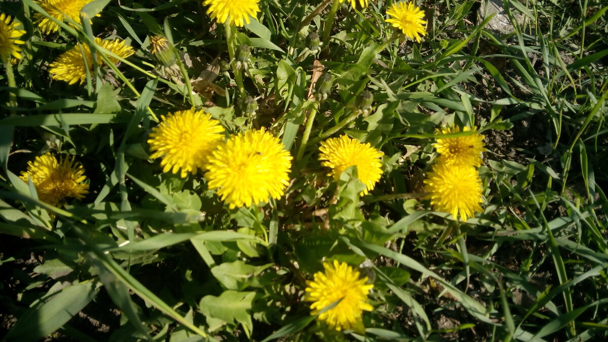 ,,, - Сергей Тимоновский