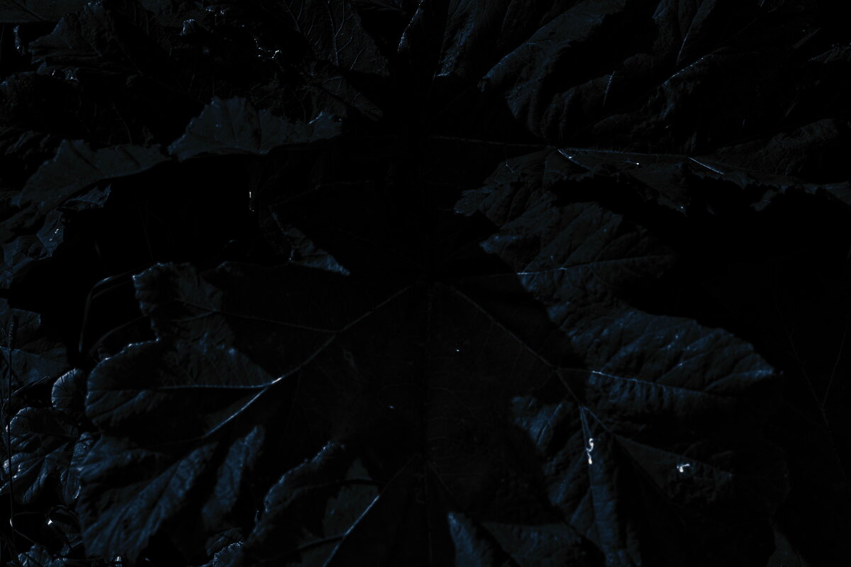 Название отсутствует - Денис Безногов