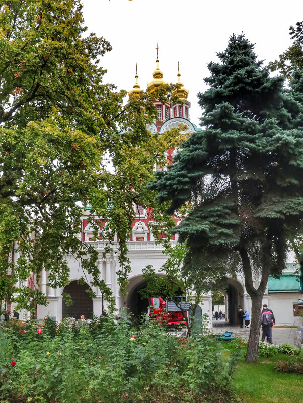 Новодевичий - Irene Irene