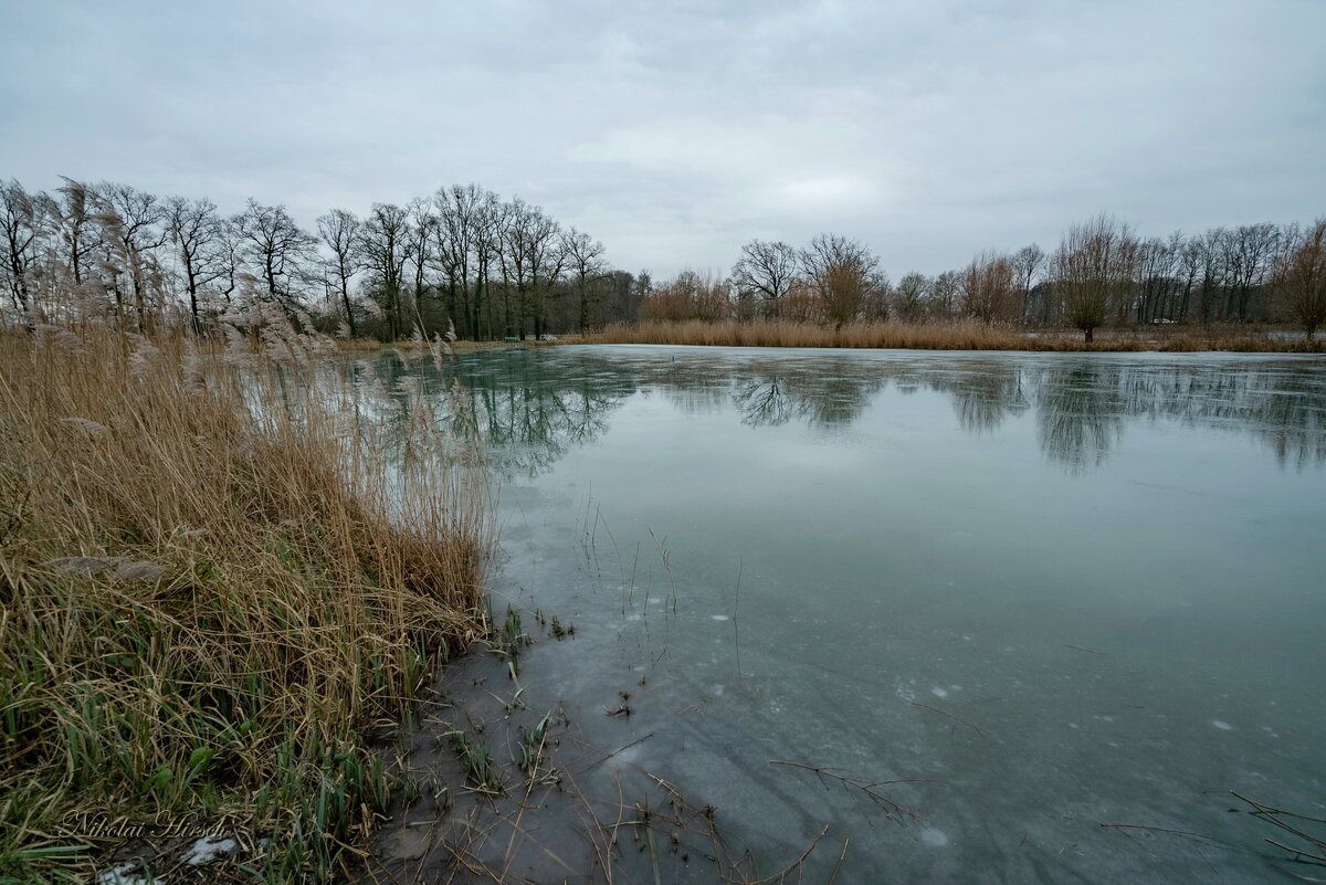 *** - Николай Гирш *** - Николай Гирш