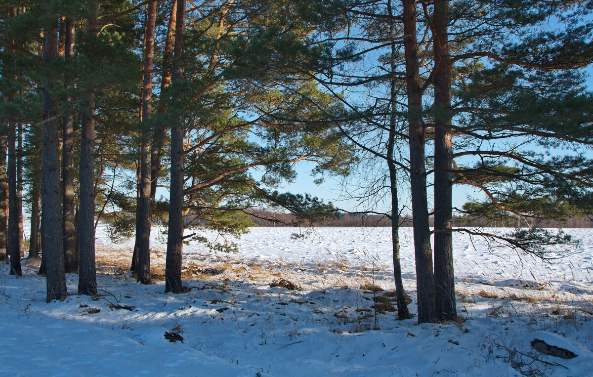 *** - lady v.ekaterina