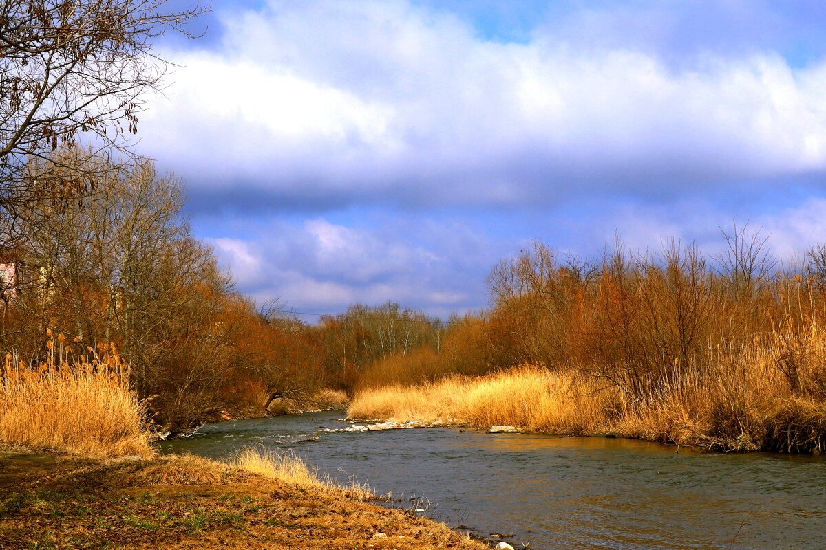 *** - Игорь Kуленко