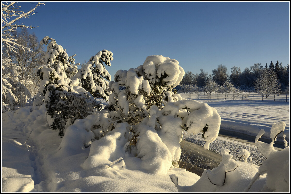 Намело... - Aleksandr Gal