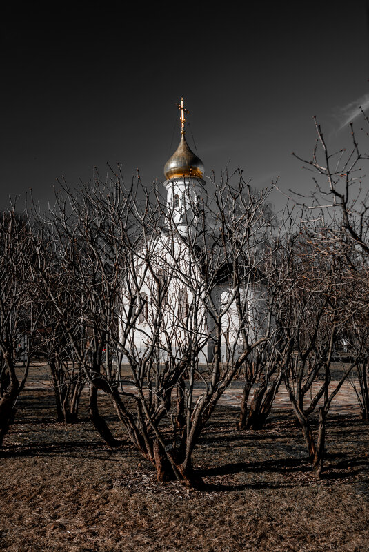 часовня Василия Великого - Игорь Егоров часовня Василия Великого - Игорь Егоров