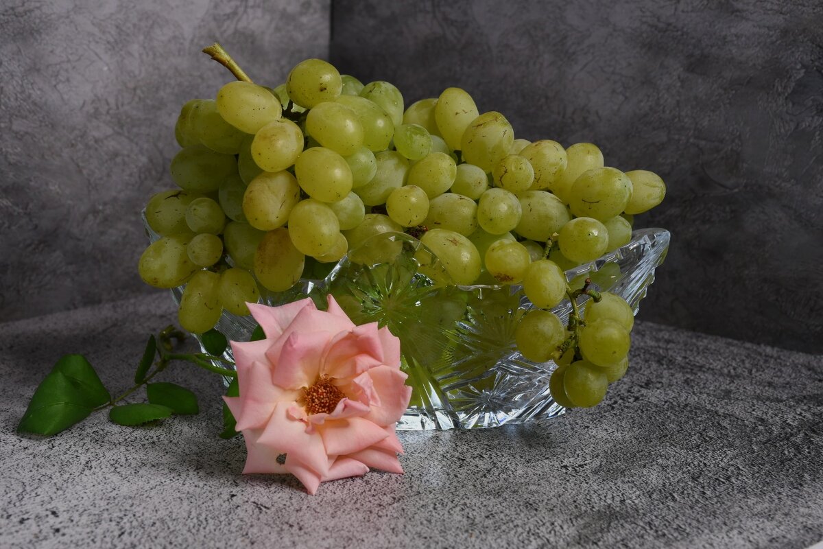 Виноград и роза - Татьяна Евдокимова Виноград и роза - Татьяна Евдокимова