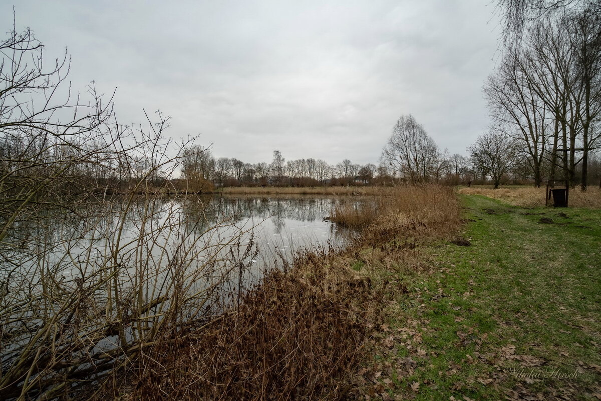 Январские мотивы... - Николай Гирш Январские мотивы... - Николай Гирш