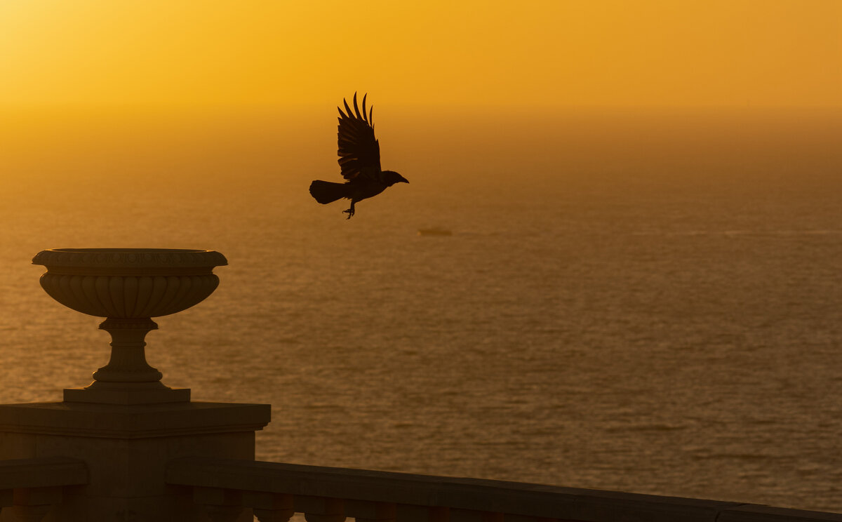 Отрыв. - Анатолий Щербак