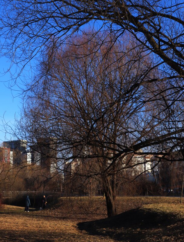 Была речка... - Василий Палий Была речка... - Василий Палий