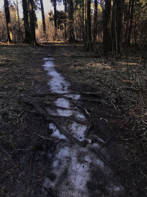 Мартовская тропинка. - Любовь Мартовская тропинка. - Любовь