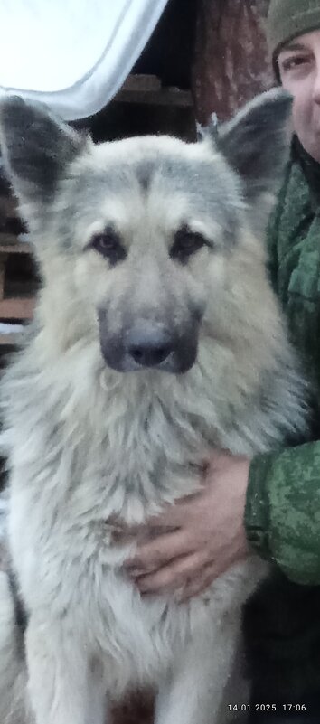 Бродяга - Валерий Степанов Бродяга - Валерий Степанов