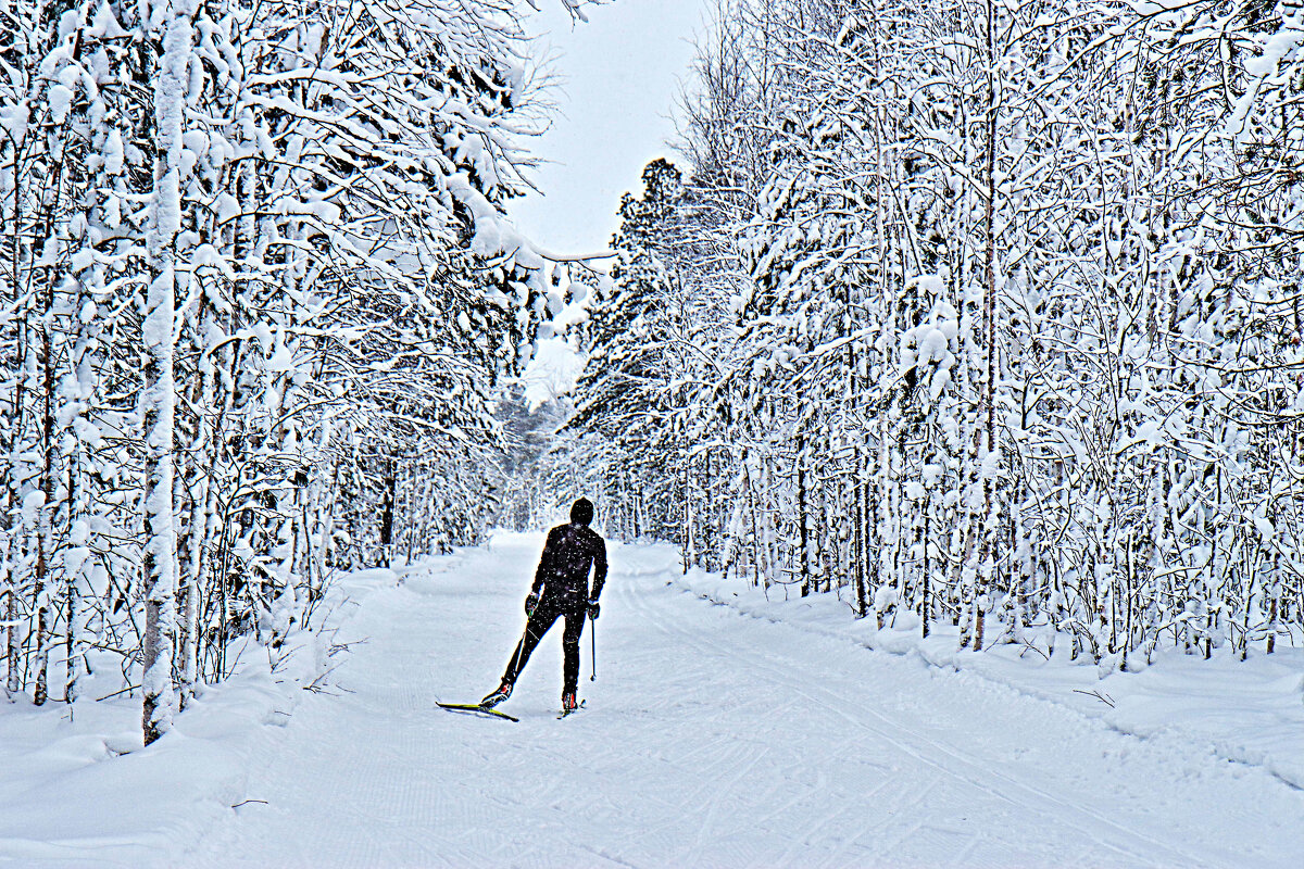Февраль..В снежном царстве! - Владимир 