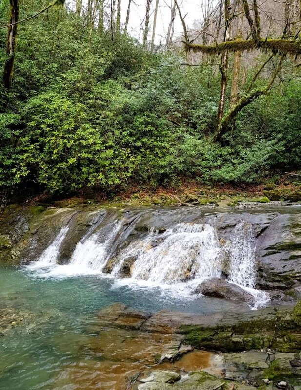 ОРЕХОВКА - Tata Wolf ОРЕХОВКА - Tata Wolf