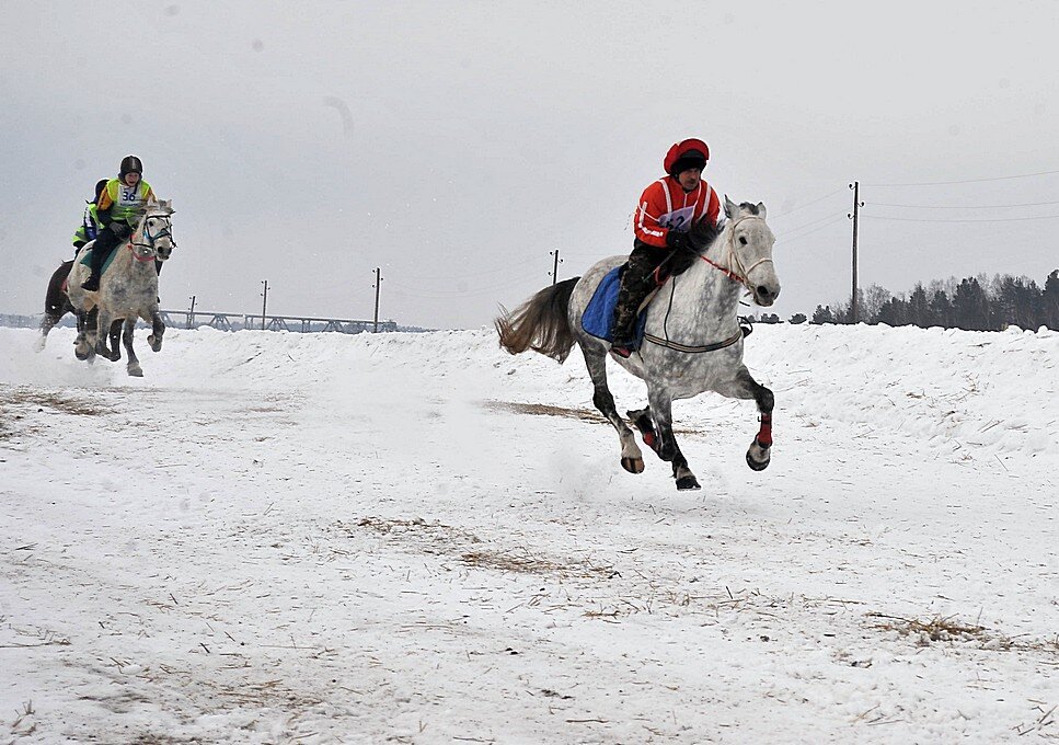 Летите лошади, летите... )) - Владимир Хиль Летите лошади, летите... )) - Владимир Хиль