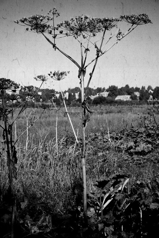 Название отсутствует - Денис Безногов Название отсутствует - Денис Безногов